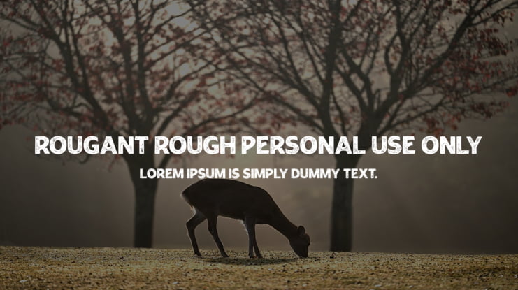 Rougant Rough PERSONAL USE ONLY Font