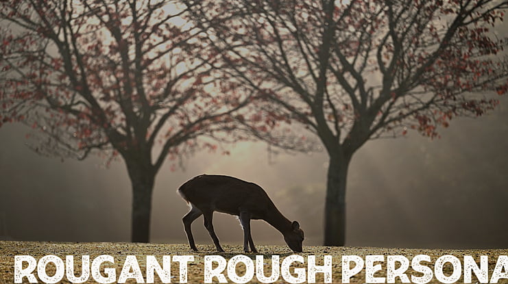 Rougant Rough PERSONAL USE ONLY Font
