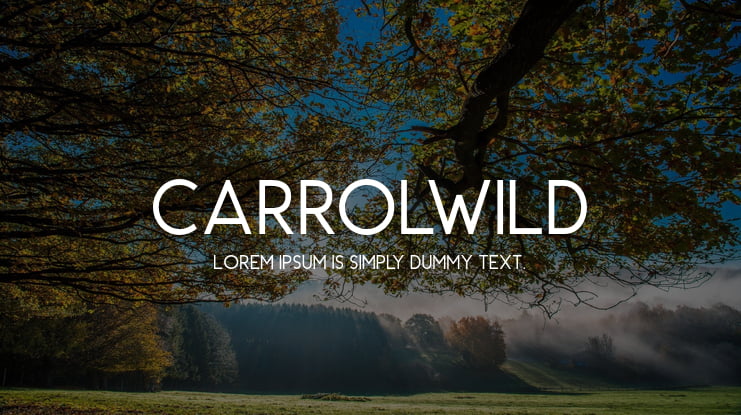 CarrolWild Font
