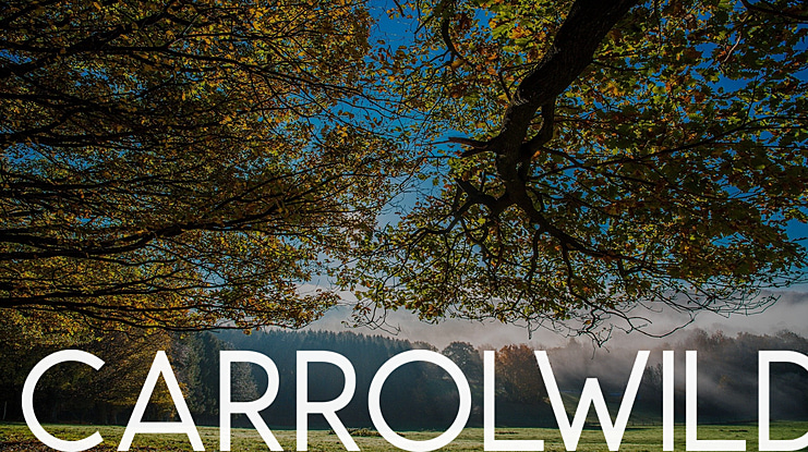 CarrolWild Font
