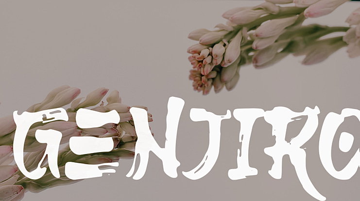 Genjiro Font
