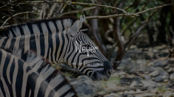 Never Font