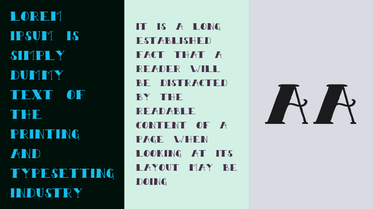 Sailor Scrawl Black Font Family