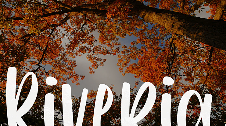 Riveria Font