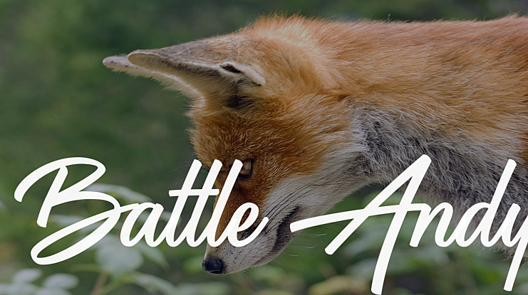 Battle Andy Font Family