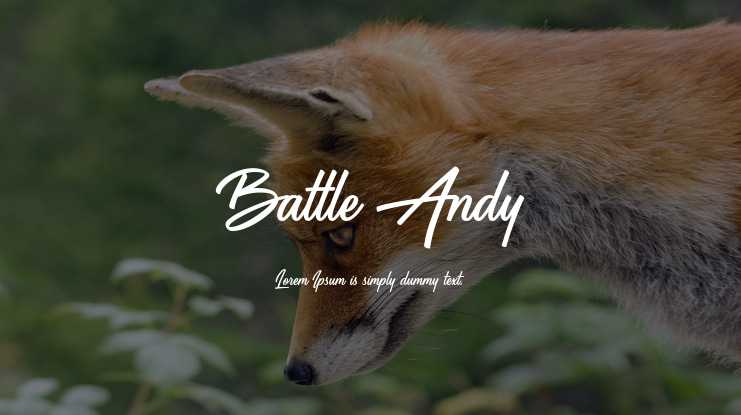 Battle Andy Font Family