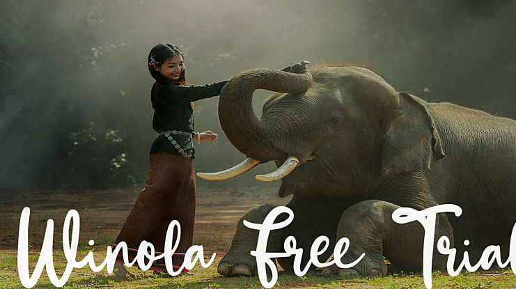 Winola Free Trial Font