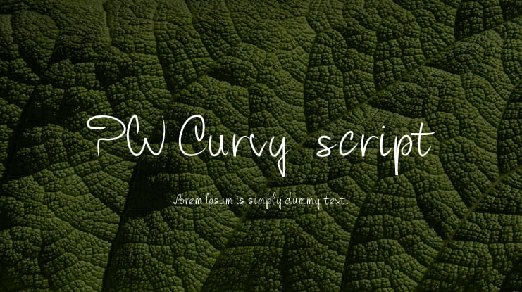PW Curvy  script Font