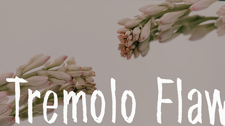 Tremolo Flaw Font