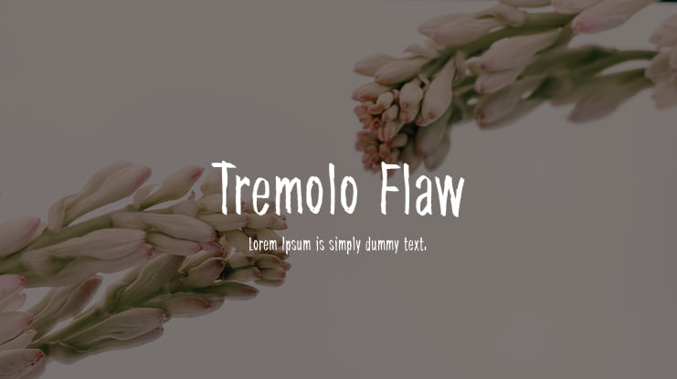 Tremolo Flaw Font