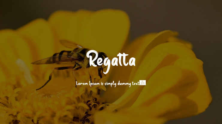 Regatta Font