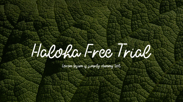 Haloha Free Trial Font