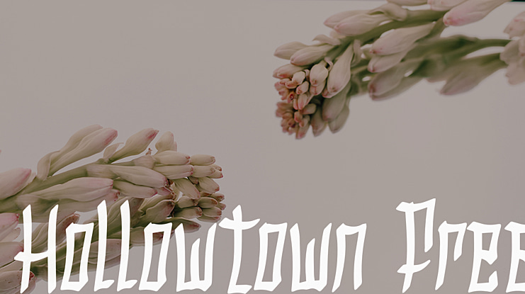Hollowtown Free Font