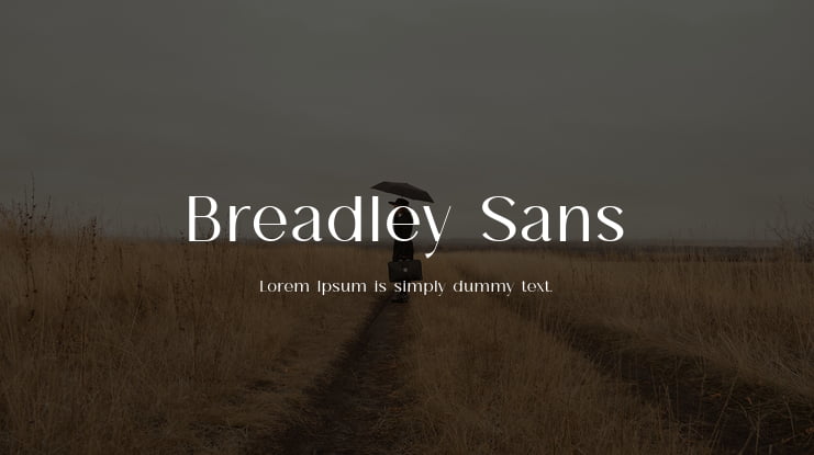 Breadley Sans Font