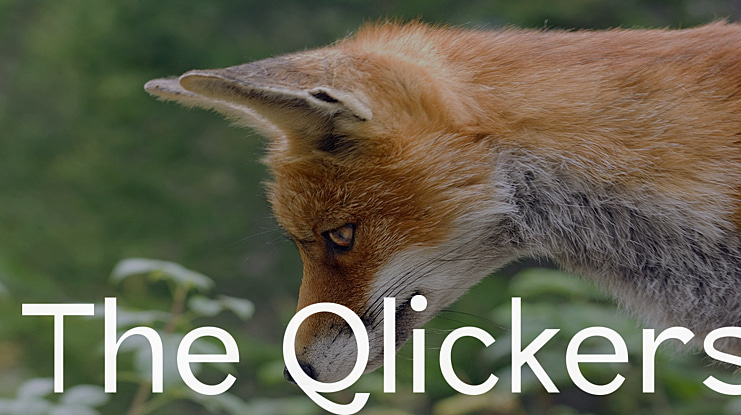 The Qlickers Font Family