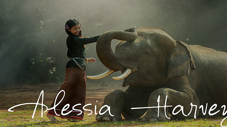 Alessia Harvey Font