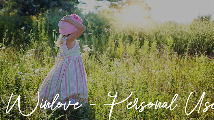 Winlove - Personal Use Font