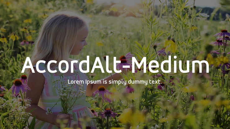 AccordAlt-Medium Font