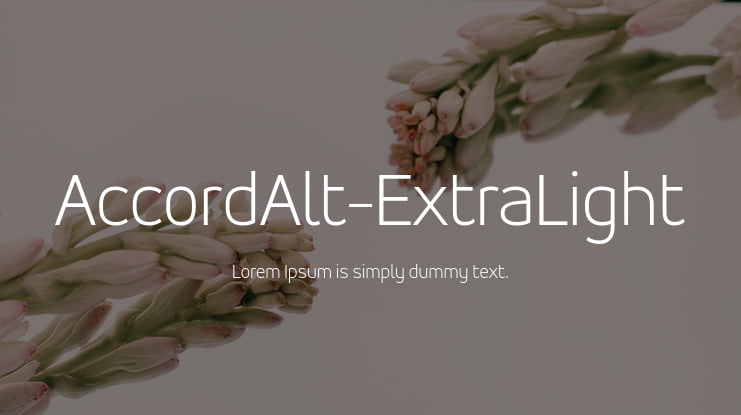 AccordAlt-ExtraLight Font