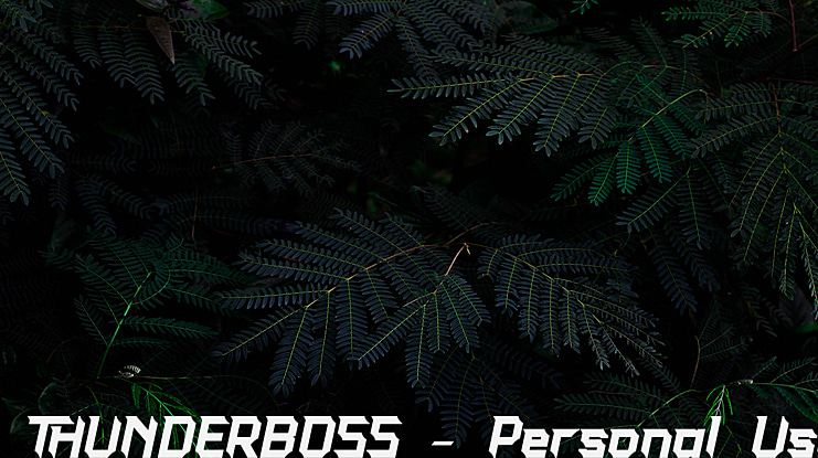 THUNDERBOSS - Personal Use Font