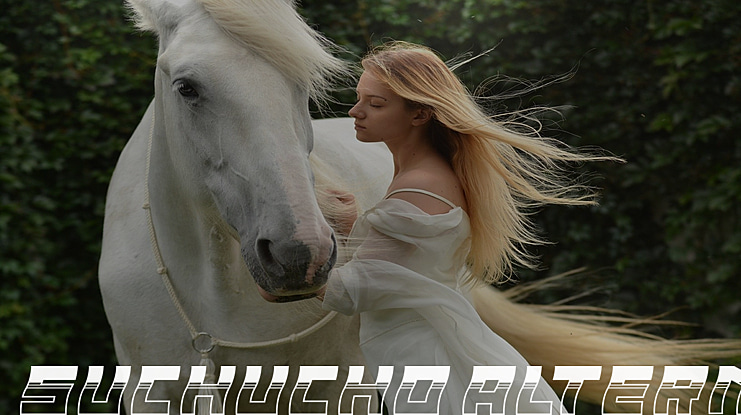 Suchucho Alternate Font Family