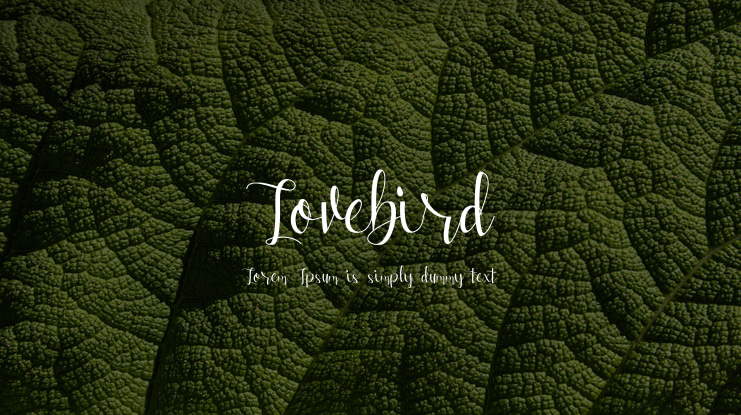 Lovebird Font Family