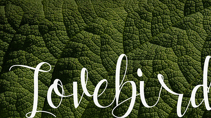 Lovebird Font Family