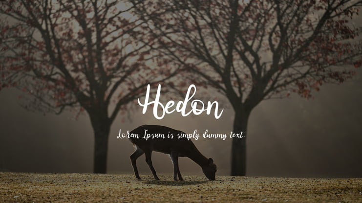 Hedon Font