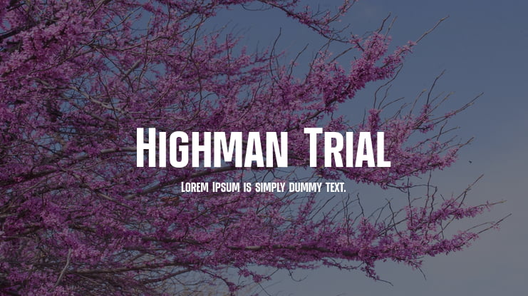 Highman Trial Font