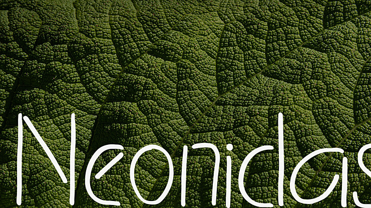 Neonidas Font