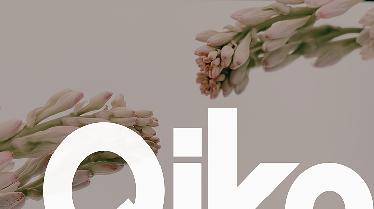 Qiko Font