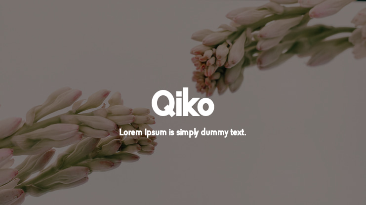 Qiko Font