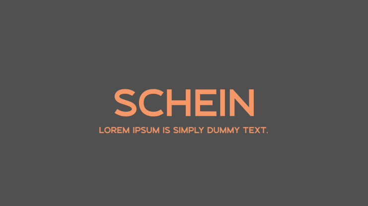 Schein Font Family