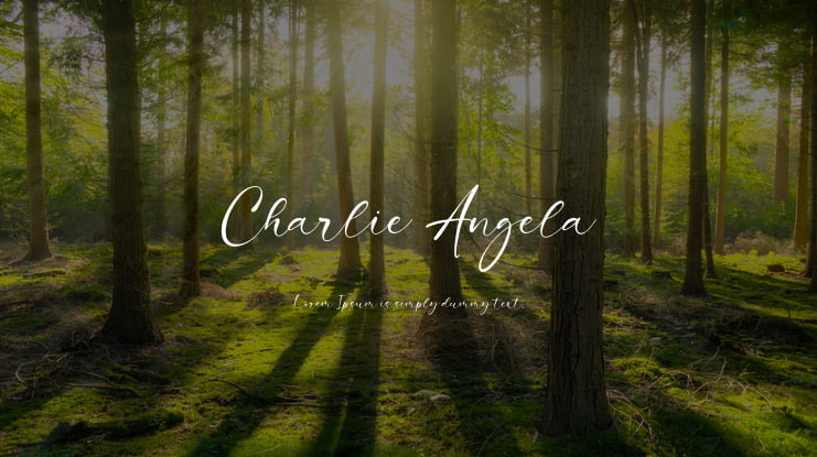 Charlie Angela Font