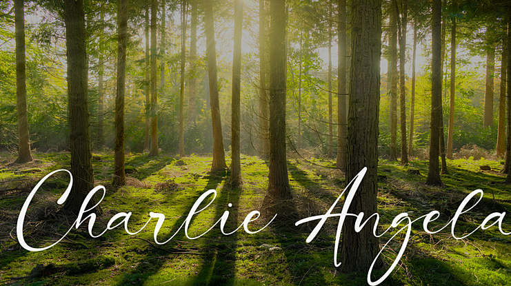Charlie Angela Font