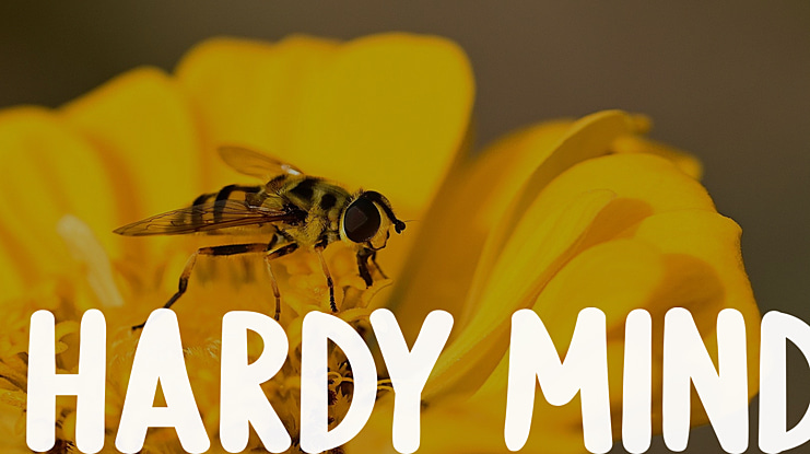Hardy Mind Font