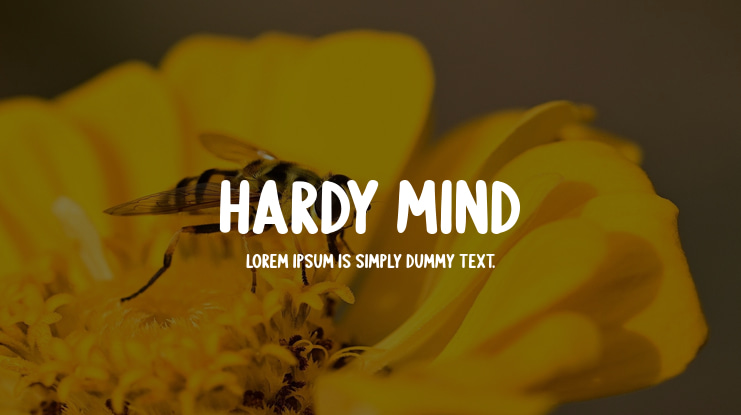 Hardy Mind Font