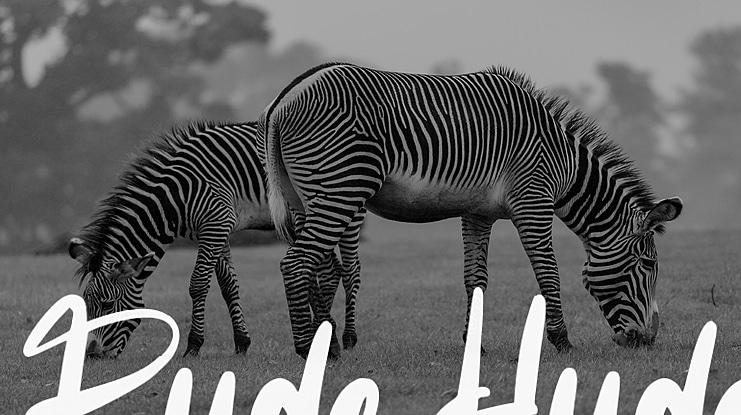 Rude Hude Font
