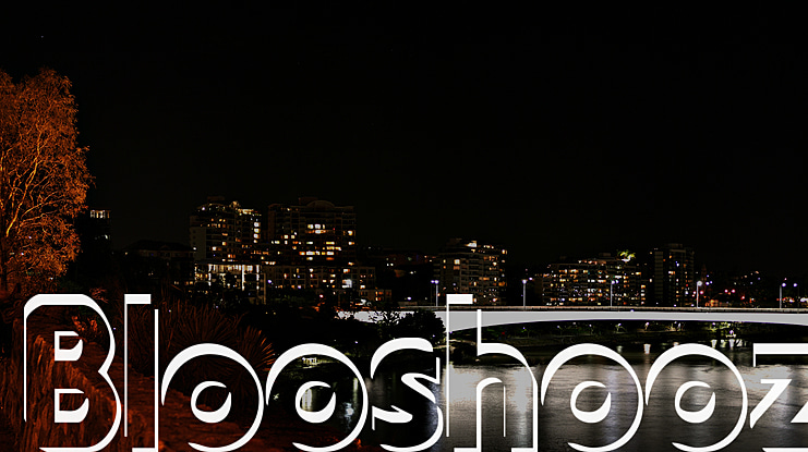 Blooshooz Font