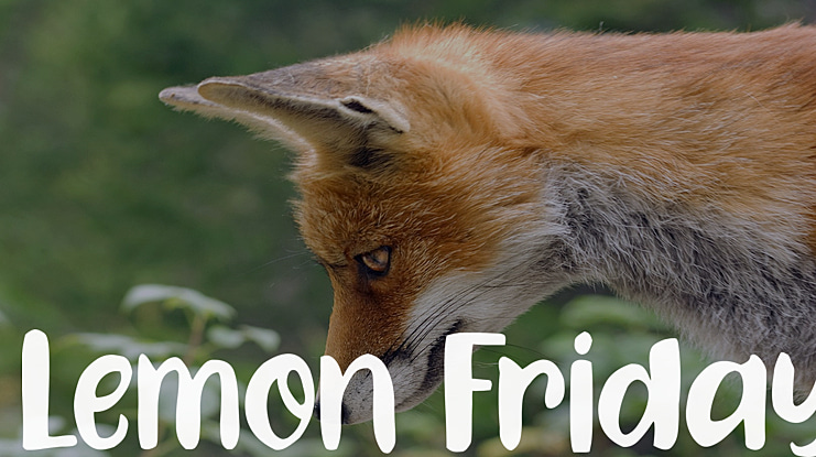 Lemon Friday Font