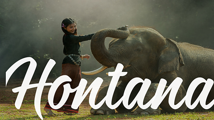 Hontana Font