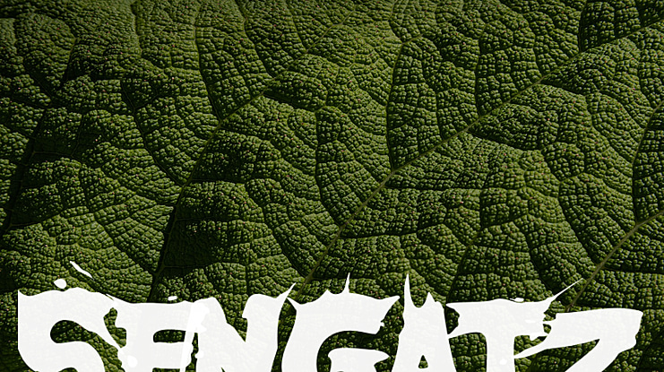 Sengatz Font