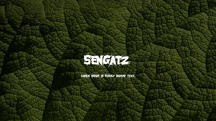 Sengatz Font