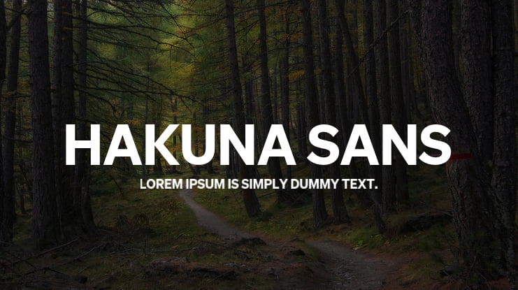 Hakuna Sans Font