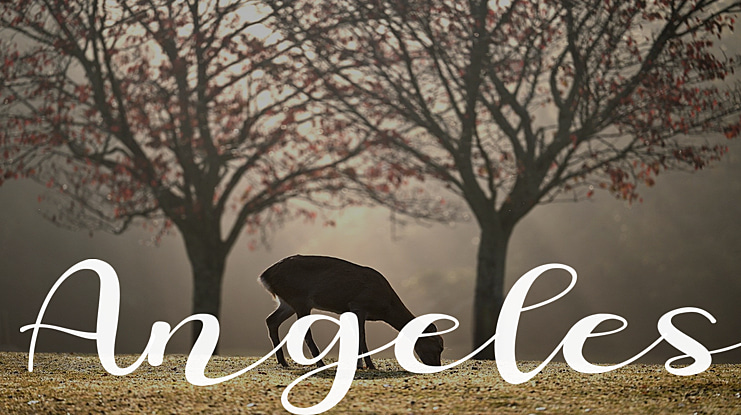 Angeles Font