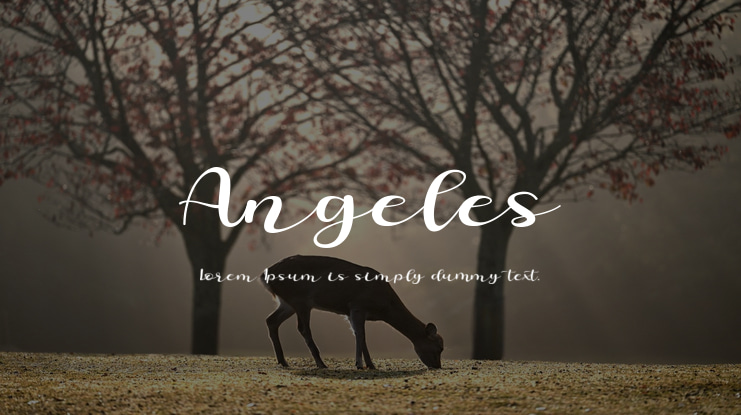 Angeles Font