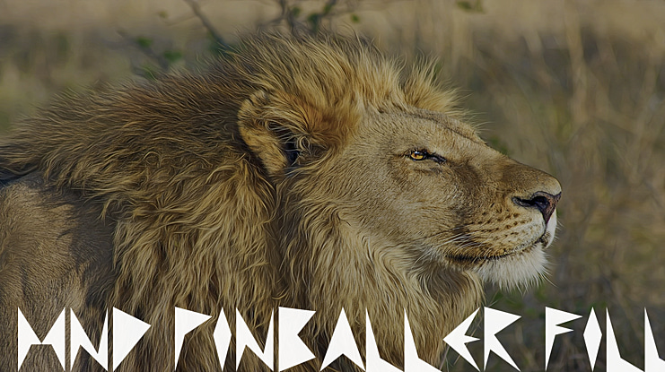 MND Pinballer Font Family