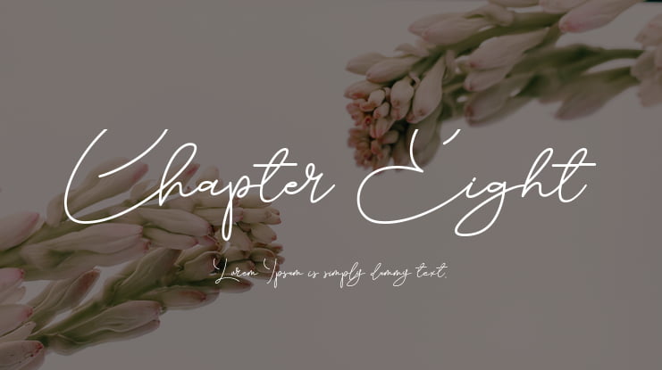 Chapter Eight Font Family