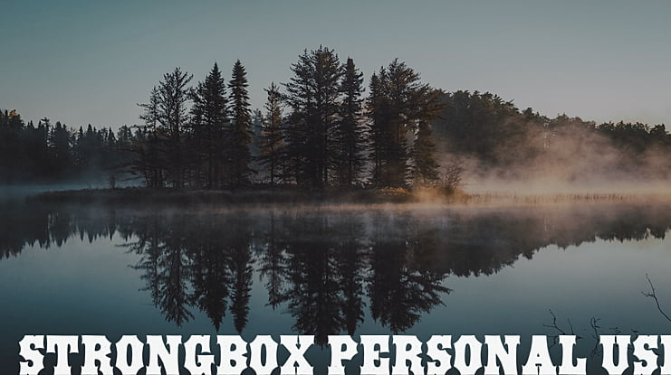 STRONGBOX PERSONAL USE Font