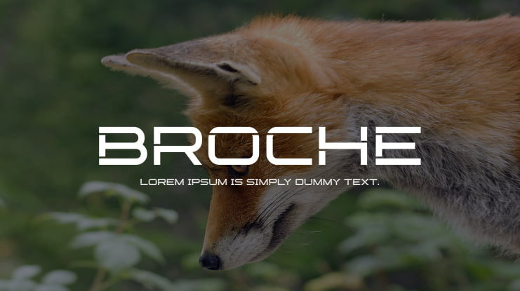 Broche Font